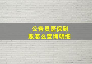 公务员医保到账怎么查询明细