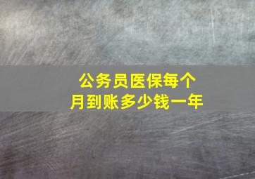 公务员医保每个月到账多少钱一年