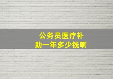 公务员医疗补助一年多少钱啊