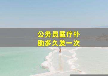 公务员医疗补助多久发一次