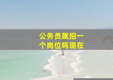 公务员就招一个岗位吗现在