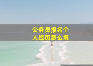 公务员报名个人经历怎么填