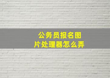 公务员报名图片处理器怎么弄