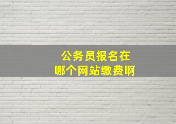 公务员报名在哪个网站缴费啊