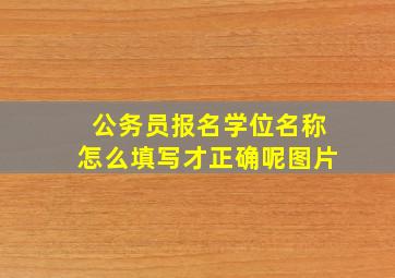 公务员报名学位名称怎么填写才正确呢图片