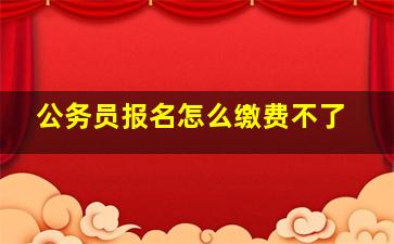 公务员报名怎么缴费不了