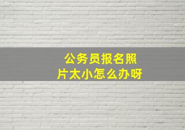 公务员报名照片太小怎么办呀