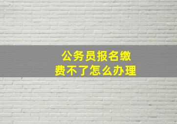 公务员报名缴费不了怎么办理