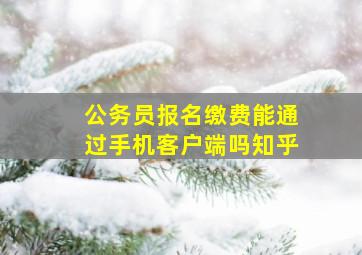 公务员报名缴费能通过手机客户端吗知乎