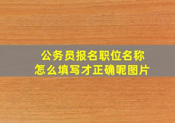 公务员报名职位名称怎么填写才正确呢图片