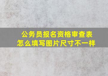 公务员报名资格审查表怎么填写图片尺寸不一样