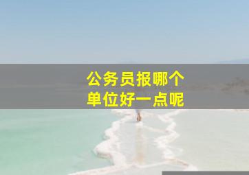 公务员报哪个单位好一点呢