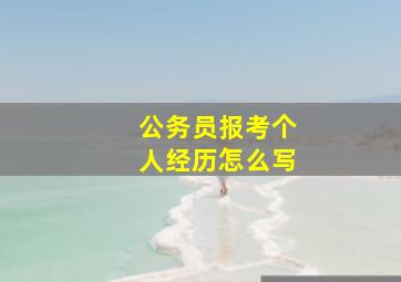 公务员报考个人经历怎么写