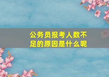 公务员报考人数不足的原因是什么呢