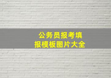 公务员报考填报模板图片大全