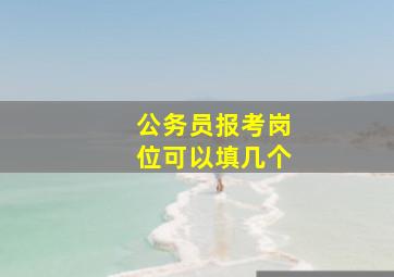 公务员报考岗位可以填几个