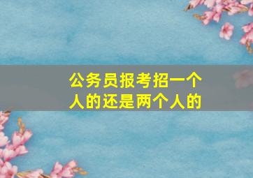 公务员报考招一个人的还是两个人的