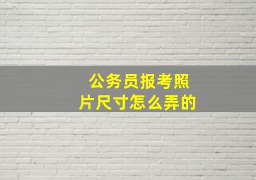 公务员报考照片尺寸怎么弄的