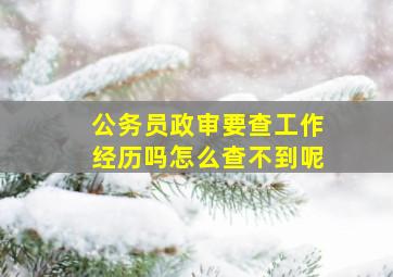 公务员政审要查工作经历吗怎么查不到呢