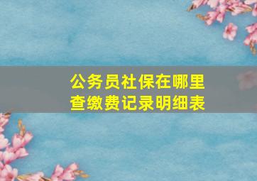 公务员社保在哪里查缴费记录明细表