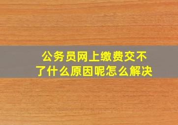 公务员网上缴费交不了什么原因呢怎么解决