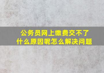 公务员网上缴费交不了什么原因呢怎么解决问题