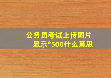 公务员考试上传图片显示*500什么意思