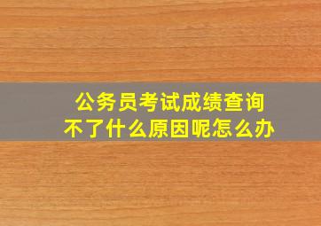 公务员考试成绩查询不了什么原因呢怎么办