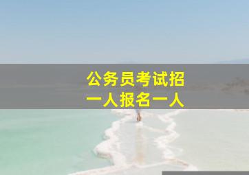 公务员考试招一人报名一人