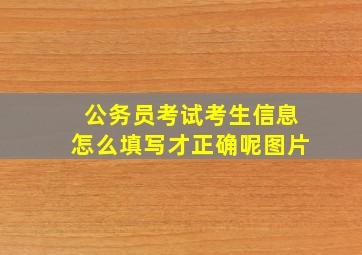 公务员考试考生信息怎么填写才正确呢图片