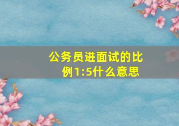 公务员进面试的比例1:5什么意思