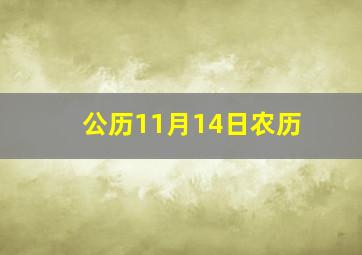 公历11月14日农历