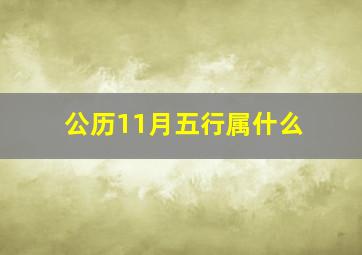 公历11月五行属什么