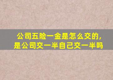 公司五险一金是怎么交的,是公司交一半自己交一半吗