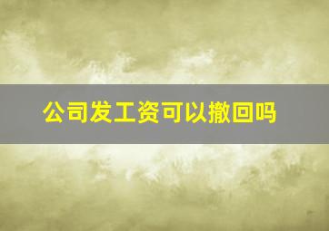 公司发工资可以撤回吗