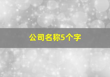 公司名称5个字