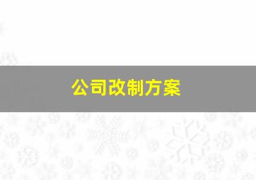 公司改制方案