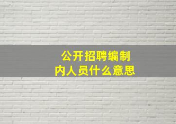 公开招聘编制内人员什么意思