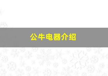 公牛电器介绍