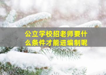 公立学校招老师要什么条件才能进编制呢