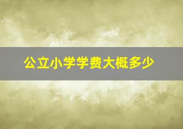 公立小学学费大概多少