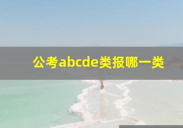 公考abcde类报哪一类