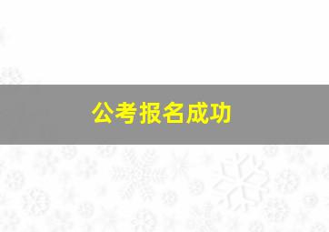 公考报名成功