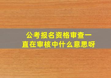 公考报名资格审查一直在审核中什么意思呀