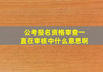 公考报名资格审查一直在审核中什么意思啊