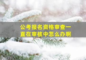 公考报名资格审查一直在审核中怎么办啊