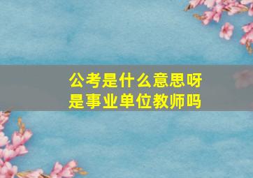 公考是什么意思呀是事业单位教师吗