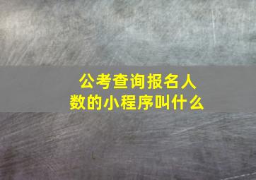 公考查询报名人数的小程序叫什么