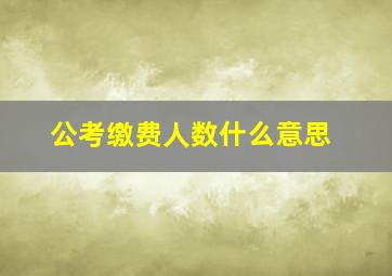 公考缴费人数什么意思