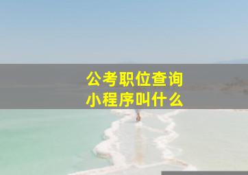 公考职位查询小程序叫什么